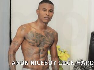 ARON_NICEBOY_COCK_HARD