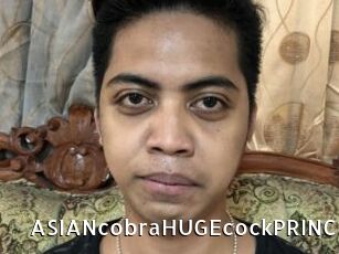 ASIANcobraHUGEcockPRINCE My Porno Stash