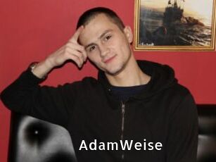 AdamWeise My Porno Stash