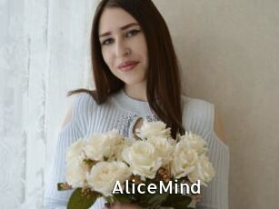 AliceMind