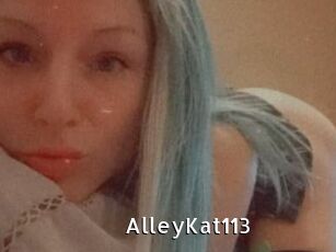 AlleyKat113