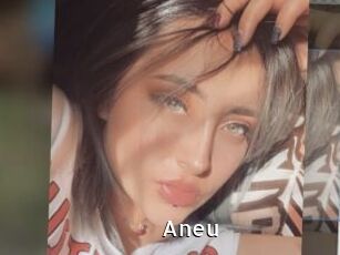 Aneu