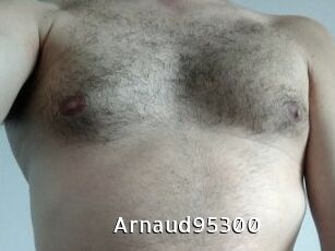 Arnaud95300