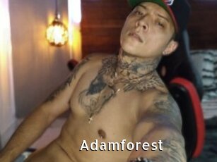 Adamforest