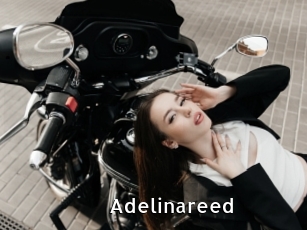 Adelinareed