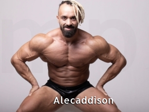 Alecaddison