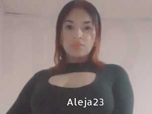 Aleja23