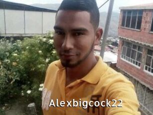 Alexbigcock22