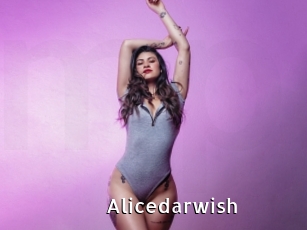 Alicedarwish