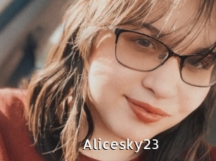 Alicesky23