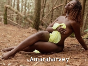 Amaraharvey