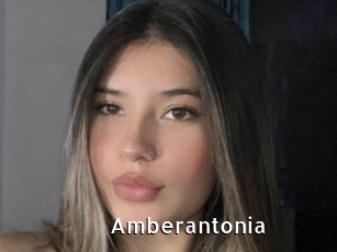 Amberantonia