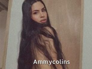 Ammycolins