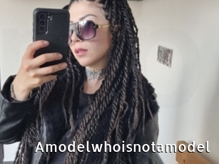 Amodelwhoisnotamodel