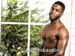 Andresbaudin