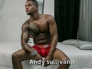 Andy_sullivann