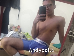 Andypolla