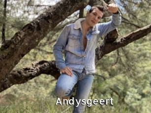 Andysgeert