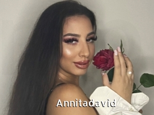 Annitadavid