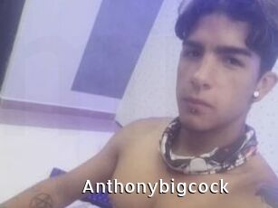 Anthonybigcock