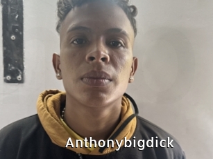 Anthonybigdick
