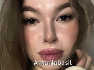 Antoniabasil