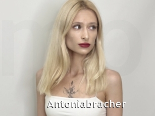 Antoniabracher