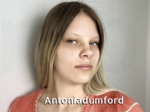 Antoniadumford