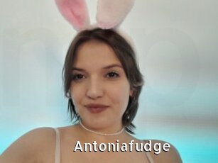 Antoniafudge