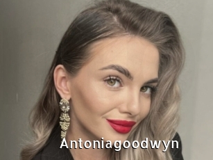 Antoniagoodwyn