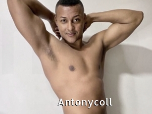 Antonycoll