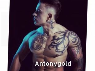 Antonygold
