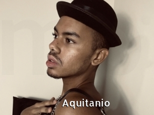 Aquitanio