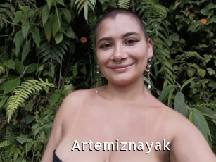 Artemiznayak