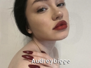 Audreybigge