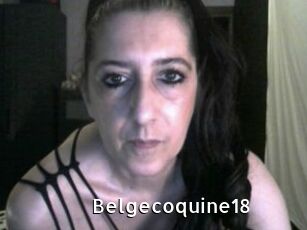Belgecoquine18 My Porno Stash