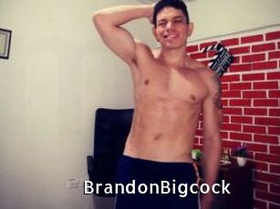 BrandonBigcock