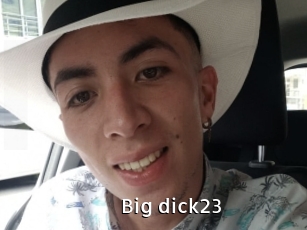 Big_dick23