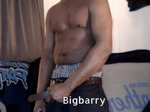 Bigbarry