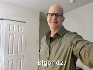 Bigbird27