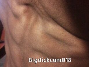 Bigdickcum018