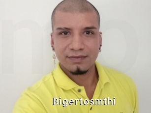 Bigertosmthi