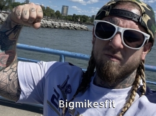 Bigmikesfit