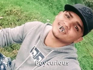 Boycurious