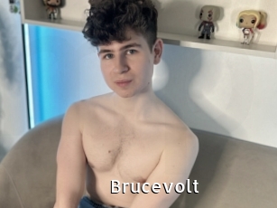 Brucevolt