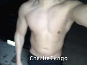 CharlieTango My Porno Stash