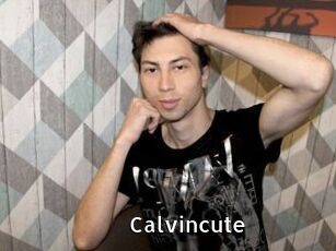 Calvincute