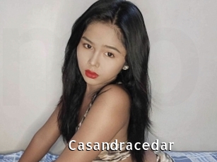 Casandracedar