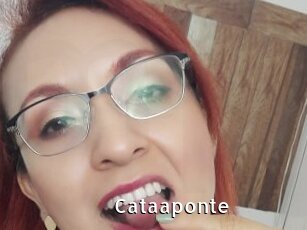 Cataaponte