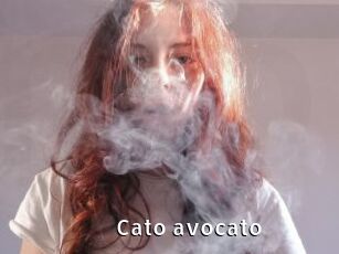 Cato_avocato